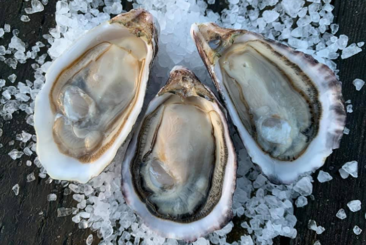 Sustainable Pacific Oyster Farming NOAA Fisheries